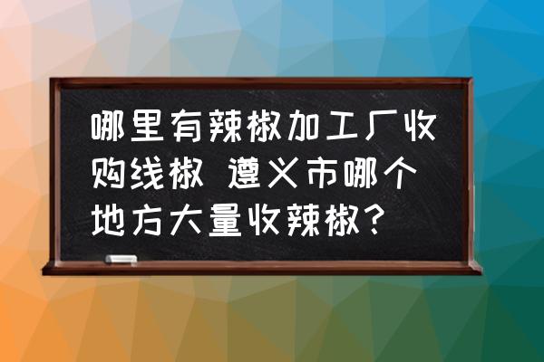 哪里有辣椒加工廠收購線椒 遵義市哪個地方大量收辣椒？
