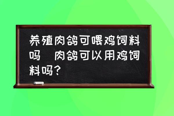 養(yǎng)殖肉鴿可喂雞飼料嗎(肉鴿可以用雞飼料嗎？)