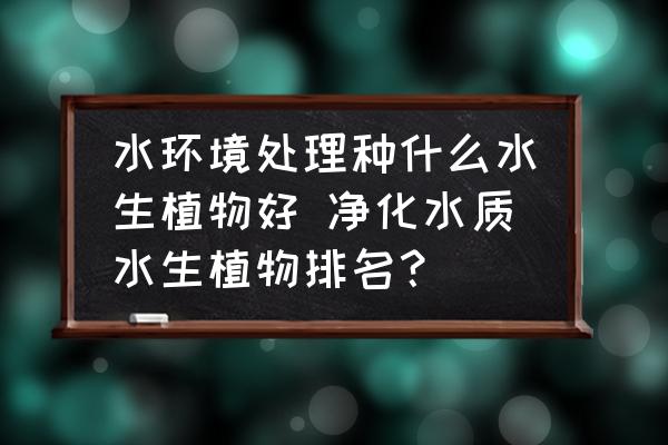 水環(huán)境處理種什么水生植物好 凈化水質(zhì)水生植物排名？