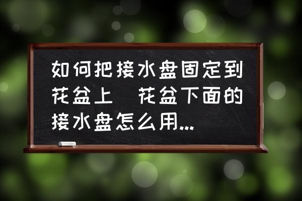 如何把接水盤固定到花盆上(花盆下面的接水盤怎么用？接完水要移開嗎？)
