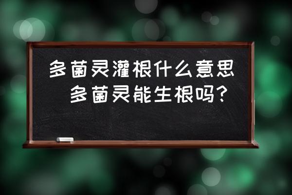 多菌靈灌根什么意思(多菌靈能生根嗎？)