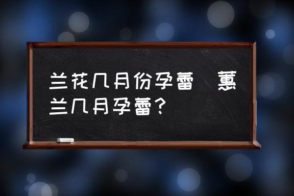 蘭花幾月份孕蕾(蕙蘭幾月孕蕾？)