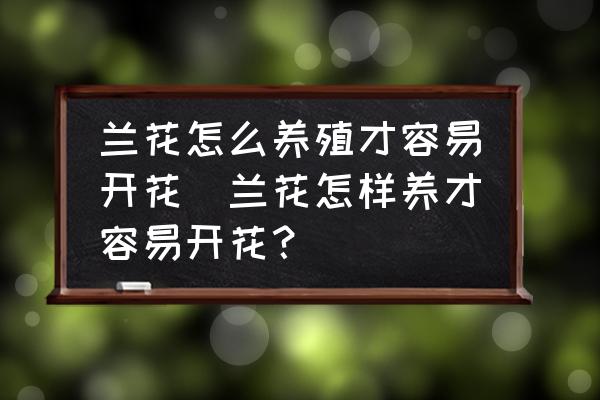 蘭花怎么養(yǎng)殖才容易開花(蘭花怎樣養(yǎng)才容易開花？)