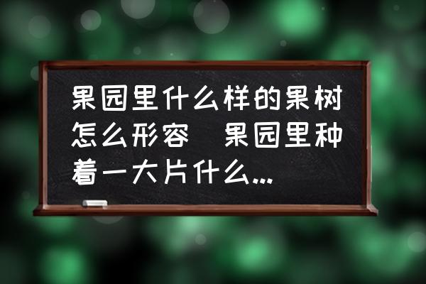 果園里什么樣的果樹怎么形容(果園里種著一大片什么樣的果樹？)