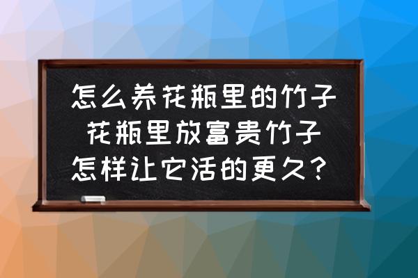 怎么養(yǎng)花瓶里的竹子 花瓶里放富貴竹子怎樣讓它活的更久？