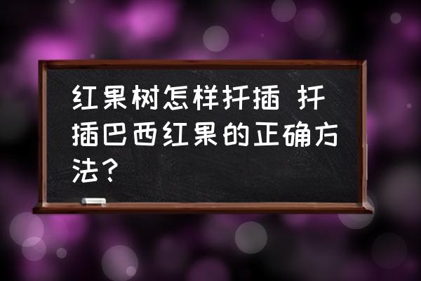 紅果樹怎樣扦插 扦插巴西紅果的正確方法？
