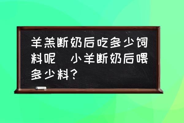 羊羔斷奶后吃多少飼料呢(小羊斷奶后喂多少料？)