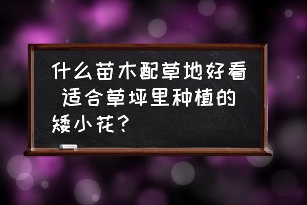 什么苗木配草地好看 適合草坪里種植的矮小花？