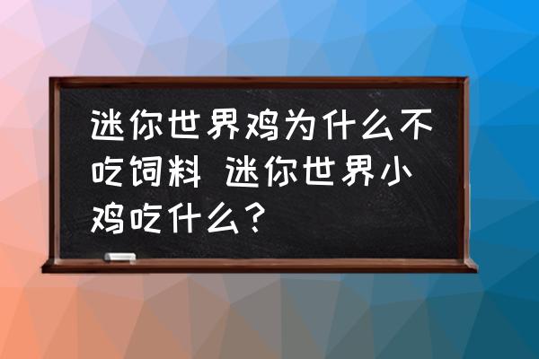 迷你世界雞為什么不吃飼料 迷你世界小雞吃什么？