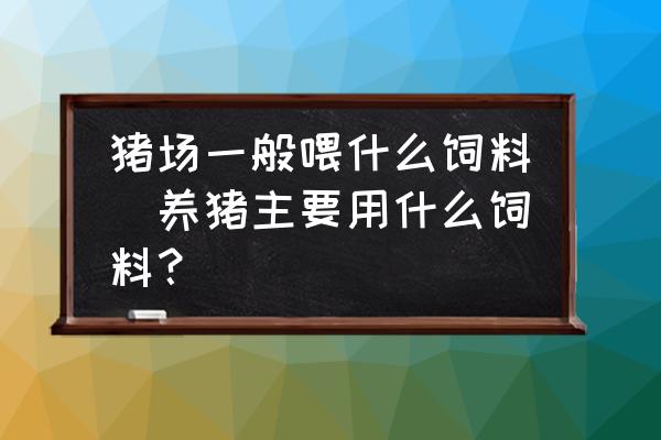 豬場一般喂什么飼料(養(yǎng)豬主要用什么飼料？)