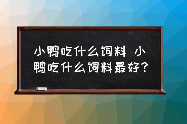 小鴨吃什么飼料 小鴨吃什么飼料最好？