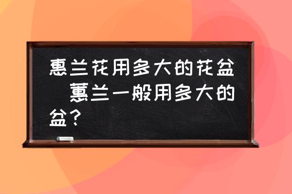 惠蘭花用多大的花盆(蕙蘭一般用多大的盆？)