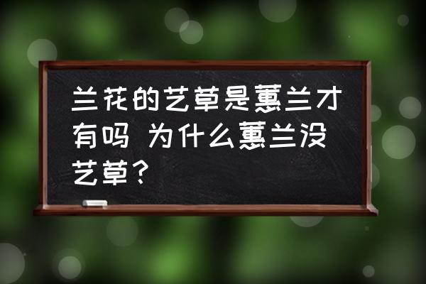 蘭花的藝草是蕙蘭才有嗎 為什么蕙蘭沒藝草？