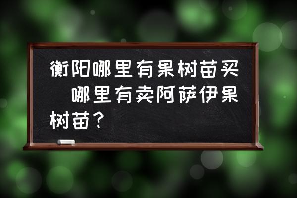 衡陽哪里有果樹苗買(哪里有賣阿薩伊果樹苗？)