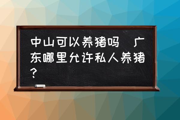 中山可以養(yǎng)豬嗎(廣東哪里允許私人養(yǎng)豬？)