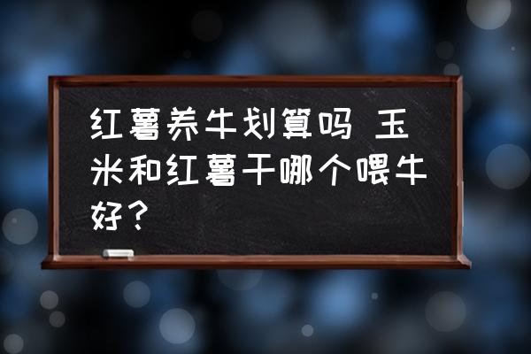 紅薯養(yǎng)牛劃算嗎 玉米和紅薯干哪個喂牛好？