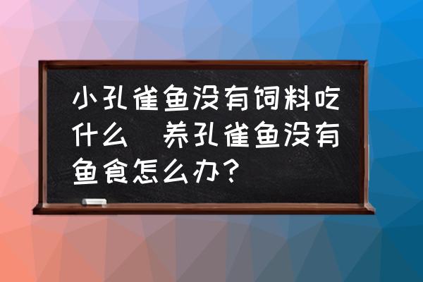 小孔雀魚沒(méi)有飼料吃什么(養(yǎng)孔雀魚沒(méi)有魚食怎么辦？)