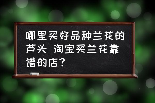 哪里買好品種蘭花的蘆頭 淘寶買蘭花靠譜的店？