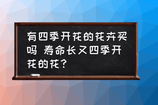 有四季開花的花卉買嗎 壽命長又四季開花的花？