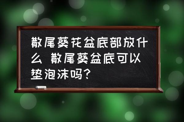 散尾葵花盆底部放什么 散尾葵盆底可以墊泡沫嗎？