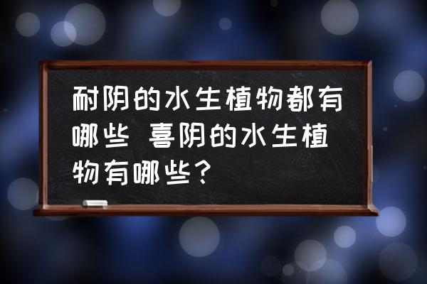 耐陰的水生植物都有哪些 喜陰的水生植物有哪些？