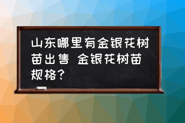 山東哪里有金銀花樹苗出售 金銀花樹苗規(guī)格？