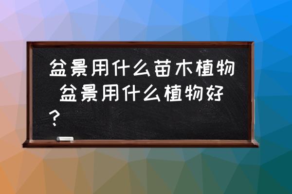 盆景用什么苗木植物 盆景用什么植物好？