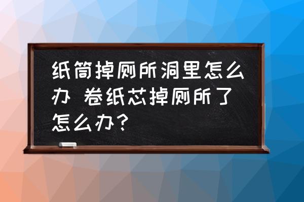 紙筒掉廁所洞里怎么辦 卷紙芯掉廁所了怎么辦？