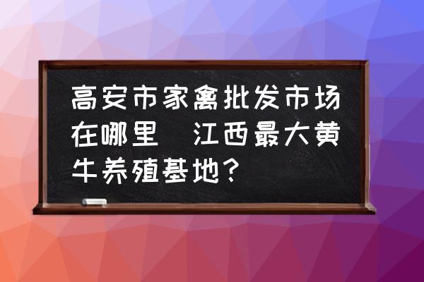 高安市家禽批發(fā)市場在哪里(江西最大黃牛養(yǎng)殖基地？)