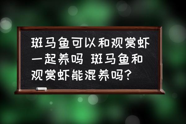 斑馬魚可以和觀賞蝦一起養(yǎng)嗎 斑馬魚和觀賞蝦能混養(yǎng)嗎？