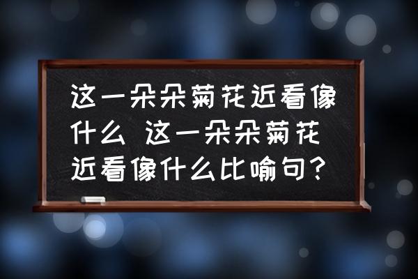 這一朵朵菊花近看像什么 這一朵朵菊花近看像什么比喻句？