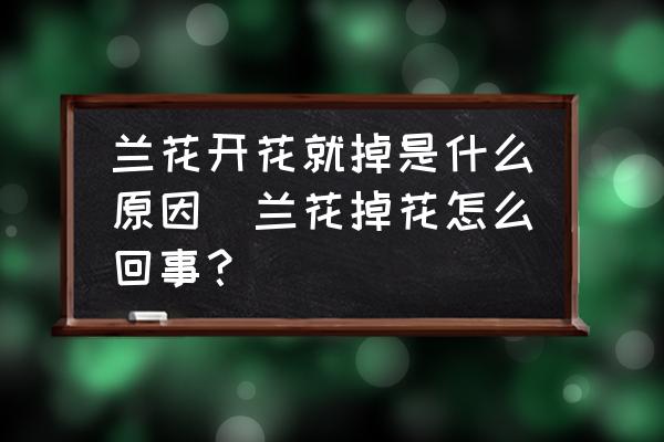 蘭花開花就掉是什么原因(蘭花掉花怎么回事？)