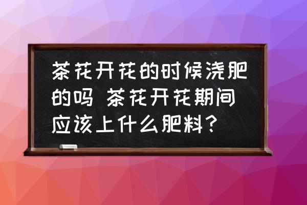 茶花開花的時候澆肥的嗎 茶花開花期間應該上什么肥料？