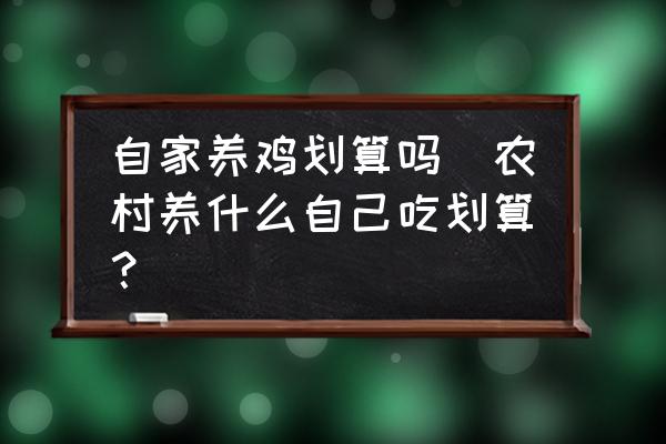自家養(yǎng)雞劃算嗎(農(nóng)村養(yǎng)什么自己吃劃算？)
