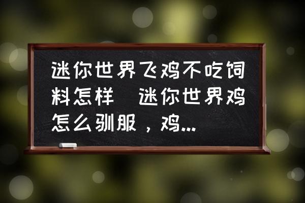迷你世界飛雞不吃飼料怎樣(迷你世界雞怎么馴服，雞怎么長(zhǎng)大？)