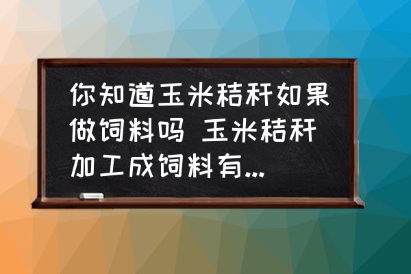 你知道玉米秸稈如果做飼料嗎 玉米秸稈加工成飼料有哪些技術(shù)方法？