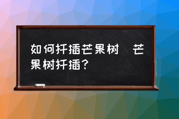 如何扦插芒果樹(芒果樹扦插？)