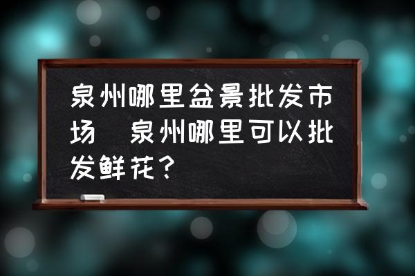 泉州哪里盆景批發(fā)市場(泉州哪里可以批發(fā)鮮花？)