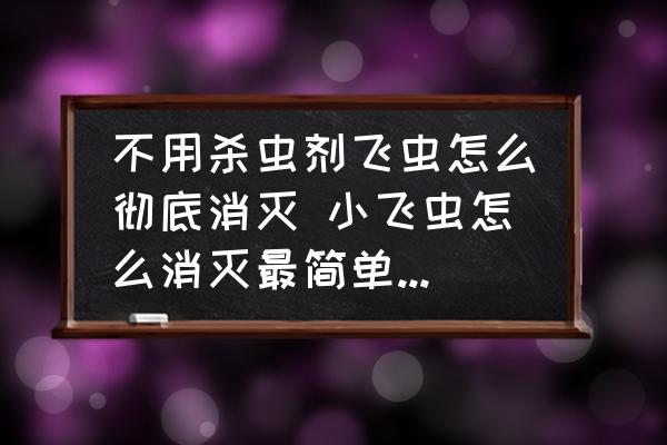 不用殺蟲劑飛蟲怎么徹底消滅 小飛蟲怎么消滅最簡單的方法？