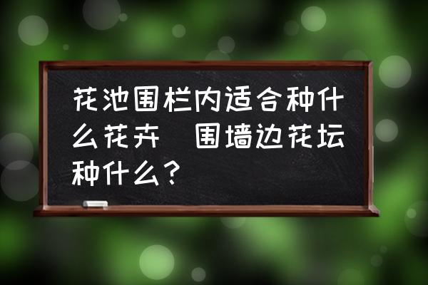 花池圍欄內(nèi)適合種什么花卉(圍墻邊花壇種什么？)