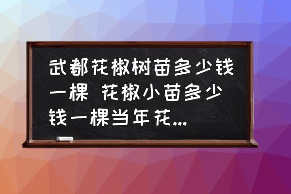 武都花椒樹(shù)苗多少錢一棵 花椒小苗多少錢一棵當(dāng)年花椒苗報(bào)價(jià)？