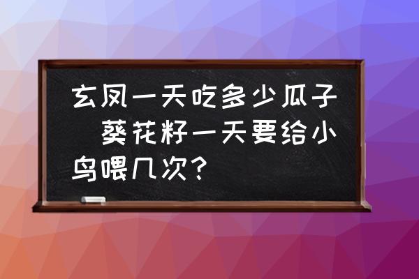 玄鳳一天吃多少瓜子(葵花籽一天要給小鳥喂幾次？)