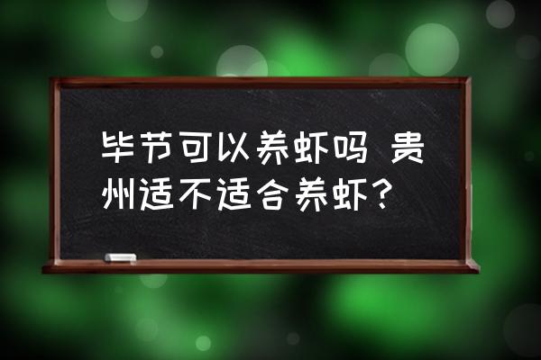 畢節(jié)可以養(yǎng)蝦嗎 貴州適不適合養(yǎng)蝦？
