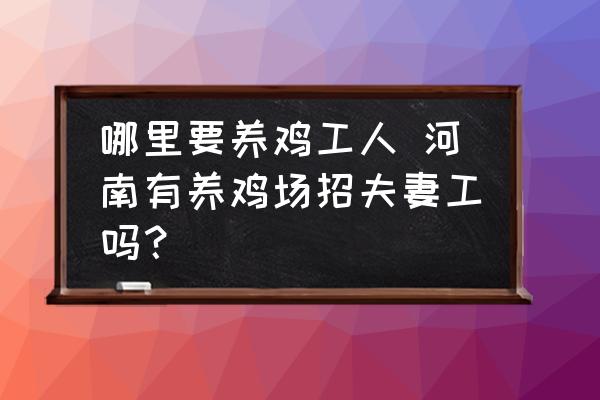 哪里要養(yǎng)雞工人 河南有養(yǎng)雞場招夫妻工嗎？