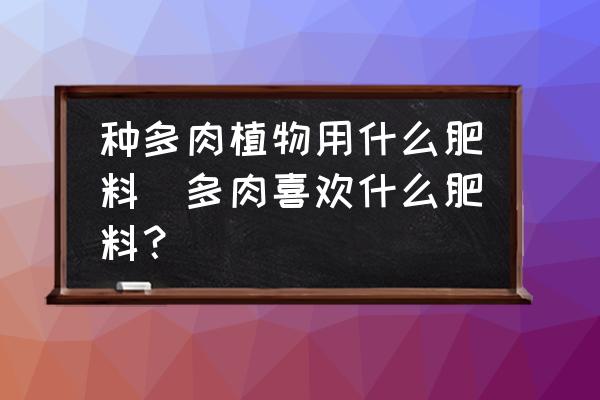 種多肉植物用什么肥料(多肉喜歡什么肥料？)