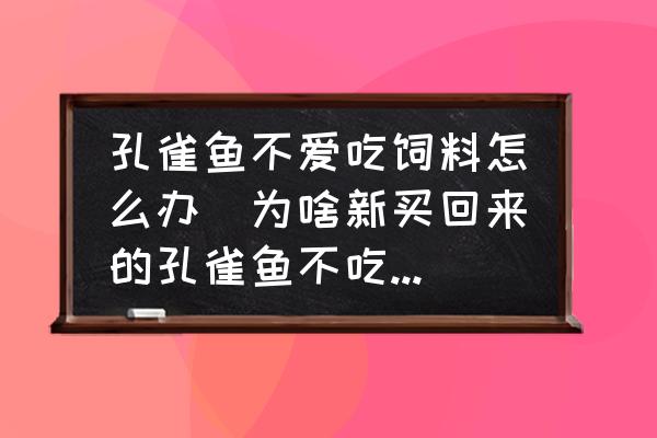 孔雀魚(yú)不愛(ài)吃飼料怎么辦(為啥新買回來(lái)的孔雀魚(yú)不吃魚(yú)食？)
