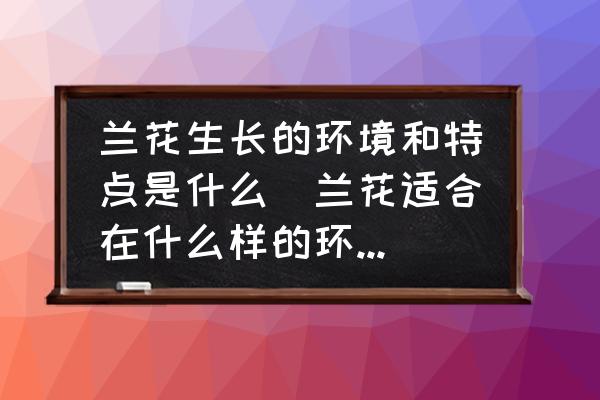 蘭花生長(zhǎng)的環(huán)境和特點(diǎn)是什么(蘭花適合在什么樣的環(huán)境中生長(zhǎng)？)