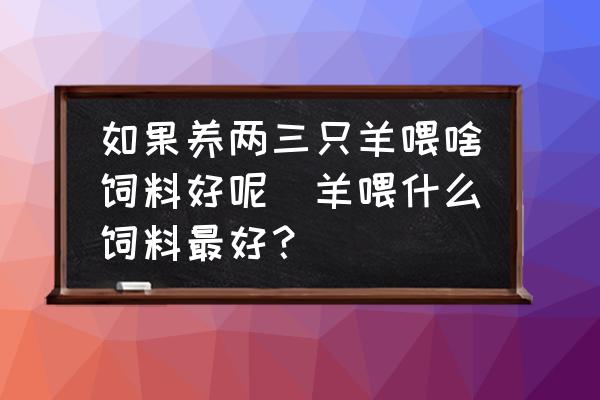 如果養(yǎng)兩三只羊喂啥飼料好呢(羊喂什么飼料最好？)