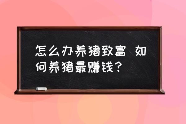 怎么辦養(yǎng)豬致富 如何養(yǎng)豬最賺錢？
