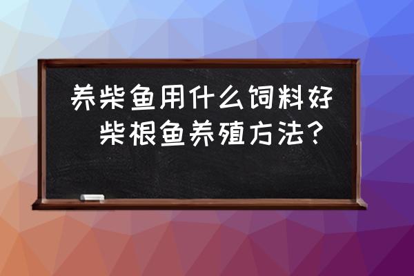 養(yǎng)柴魚用什么飼料好(柴根魚養(yǎng)殖方法？)